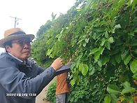 이수도1박3식 여행