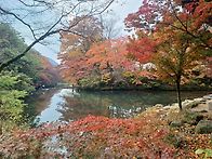 백암산 정기산행