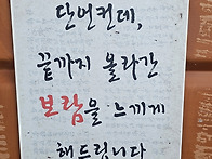 바위산악회 ㅡ 목포 유달산..