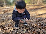 가을숲길걸어봐요