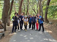 속리산 세조길.. 급할 것..