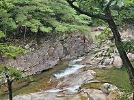 7월정기산행 산청 대원사계..