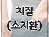 치질 한방치료 (소치환)
