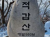 내손에 새가 안&#51093;다