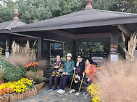 2025 어르신 가을 문화 활..