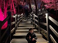 (푸름반 장훤) 팔달산 견..