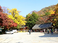 장성백암산(10.31)