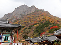 넝쿨산악회 가을 단풍산행..