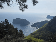 울릉도 석포전망대..