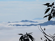 구름위 산책