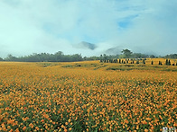가을 나들이는 곡성동화공..