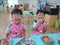 분홍반의 모습