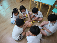 호박 & 채소과자 & 배추놀..
