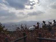 병오년 짱님과 함..