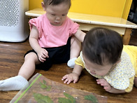 다양한나뭇잎