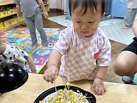 콩나물 관찰