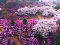 부천 원미산 산행 / 원미산..