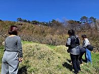 4월5~6일 집사람 ..