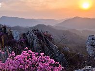 전남 강진ㆍ해남 주작산 ..