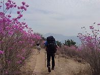 여수 영취산 진달래 백패킹..