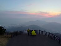 진달래 향연 여수 영취산