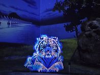 4월 10~11일 강화..