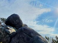 ■ 용봉산, 덕숭산,2025..