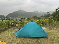 비박
