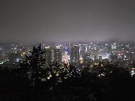 10월 7일 오후 남산 트래..