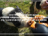 [한국기행 수타명가 지흥선..