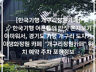 [한국기행 개구리정원카페..