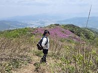 봉화산