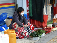 발길따라 147