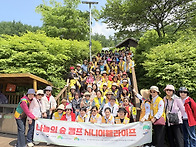 "항노화 산림 치유..