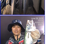 갈치조황 ^^ ..내일 자리..