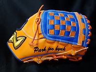 회원님 프로급 글러브