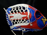 회원님 골드급 글러브