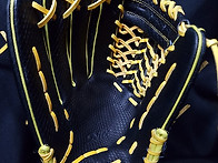 회원님 프로급 글러브