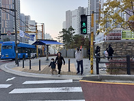 2025.11.7 활동모습(복사초A, 범박초A)