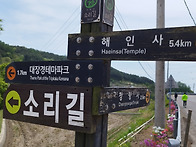 합천가야산남산제..