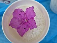 신~~시~~모 ※3※