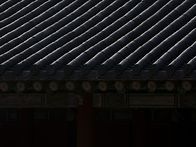 창경궁 출사