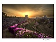 수원 화성
