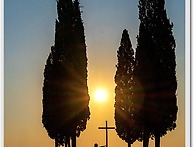 Quo Vadis Domine?