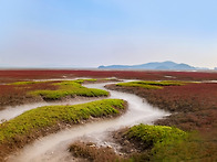 황산도