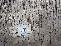 11월8일(토요일)아침 출석..