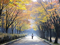 인천대공원.....