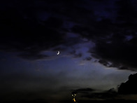 제주도초생달...