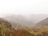 비밀의 정원