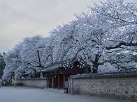 대릉원